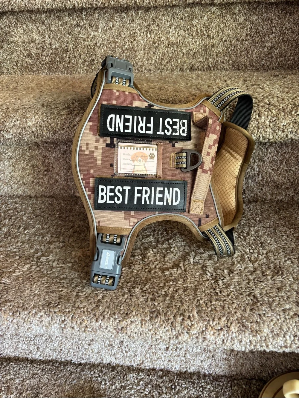 Dog harness